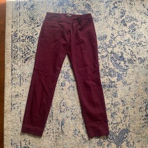 Express burgundy color of office job pants , brand new size 2